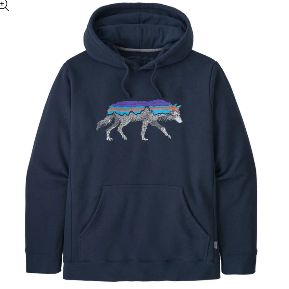 Patagonia hoodie
